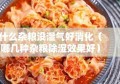 什么杂粮没湿气好消化（哪几种杂粮除湿效果好）