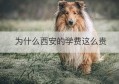 为什么西安的学费这么贵(西安明德理工学院学费多少钱一年)