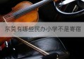 东莞有哪些民办小学不是寄宿(东莞寄宿小学学校有哪些)