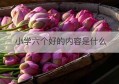 小学六个好的内容是什么