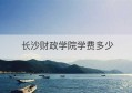 长沙财政学院学费多少(广东财经大学财政税务学院)