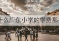 为什么广东小学的学费那么贵(广东容闳小学学费是多少)