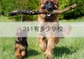 211有多少学校(211有多少学校分别是哪些?)