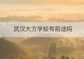 武汉大方学校有前途吗(武汉大方学校是什么学校)