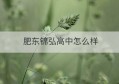 肥东锦弘高中怎么样(肥东锦弘中学有高中吗)