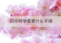 初中转学需要什么手续(小学升中学应该需要哪些手续)