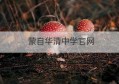 蒙自华清中学官网(临潼区华清中学官网)