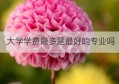 大学学费最多是最好的专业吗(编导专业大学学费一般是多少)