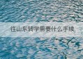 往山东转学需要什么手续(学生转学需要办什么手续)