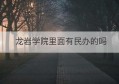 龙岩学院里面有民办的吗(龙岩学院的学费是民办还是公办)