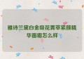 雅诗兰黛白金级花菁萃紧颜精华面霜怎么样