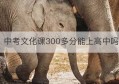 中考文化课300多分能上高中吗(中考300多分读高中怎样补初中知识)