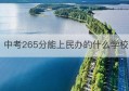 中考265分能上民办的什么学校(中考365分能上的公办学校有哪些)