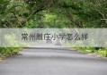 常州雕庄小学怎么样(常州雕庄小学升学率高不高)