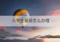 小学生留级怎么办理(2020年小学生留级需要办什么手续)