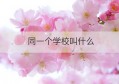 同一个学校叫什么(学校都有什么不一样的)