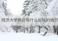 同济大学附近有什么好玩的地方(同济大学旁边有啥玩的)