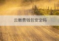 云缴费钱包安全吗(云缴费钱包是什么意思)