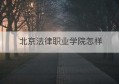 北京法律职业学院怎样(北京法律专业大学排名)