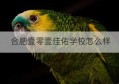 合肥壹零壹佳佑学校怎么样(合肥101佳佑高复学校怎么样)