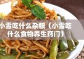 小雪吃什么杂粮（小雪吃什么食物养生窍门）