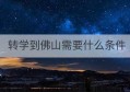 转学到佛山需要什么条件(无锡转学需要什么条件)