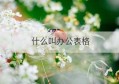 什么叫办公表格(办公软件excel表格免费下载)