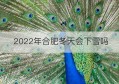 2022年合肥冬天会下雪吗