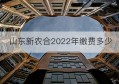 山东新农合2022年缴费多少(2022年新农合缴费政策)