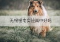 无锡锡南实验高中好吗(无锡市锡南实验中学是公办还是民办)