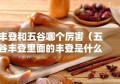 丰登和五谷哪个厉害（五谷丰登里面的丰登是什么意思?）