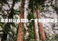 广安附近旅游景区哪里好玩自驾游-广安附近旅游景区哪里好玩自驾游