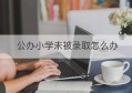 公办小学未被录取怎么办(公办小学没有被录取怎么办)