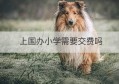 上国办小学需要交费吗(当兵体检个人需要交费吗)