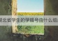 湖北省学生的学籍号由什么组成(如何查询学生学籍号)