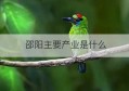 邵阳主要产业是什么(邵阳哪个产业最好)