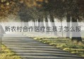 新农村合作医疗生孩子怎么报(农村合作医疗住院能报几回啊)