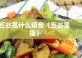 五谷是什么语音（五谷是指）