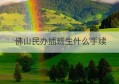 佛山民办插班生什么手续(佛山三水区小学插班生转学流程)