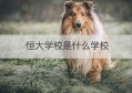 恒大学校是什么学校(恒大学校是什么)