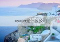 cyxon是什么公司