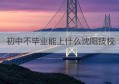 初中不毕业能上什么沈阳技校(初中没毕业去技校学什么专业好)