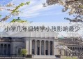 小学几年级转学小孩影响最少(孩子小学几年级转学比较好)