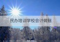 民办培训学校会计做账(民办非企业会计做账的流程)