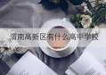 渭南高新区有什么高中学校(渭南高新中学是渭高吗?)