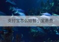 支付宝怎么给智小堂缴费(支付宝怎么给小天才充零花钱)