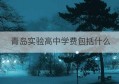 青岛实验高中学费包括什么(南宁华侨实验高中学费)