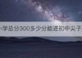 小学总分300多少分能进初中尖子班(满分300初中尖子班要多少分才考上)