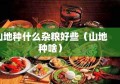 山地种什么杂粮好些（山地种啥）