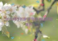 什么牌子的护肤品抗皱祛斑效果好